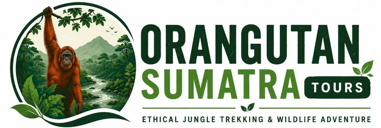Orangutan Sumatra Tours | Best Jungle Trekking in Bukit Lawang, Gunung Leuser National Park