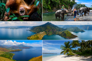 Travel collage featuring a wild Sumatran orangutan in Bukit Lawang, elephant bathing in Tangkahan, panoramic views of Lake Toba, and the white sand beaches of the Banyak Islands, Sumatra, Indonesia